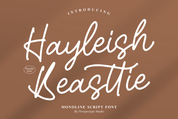 Hayleish Beasttie: A Script Font for Creative Makers
