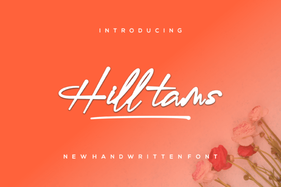 Hilltams: A Script Amp for Real Projects