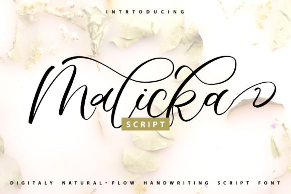 Malicka: A Romantic Font for Business Branding