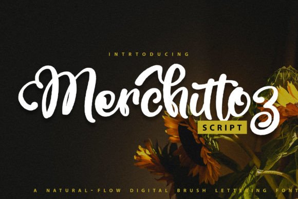 Merchittoz: A Stylish Script Font for Web Design