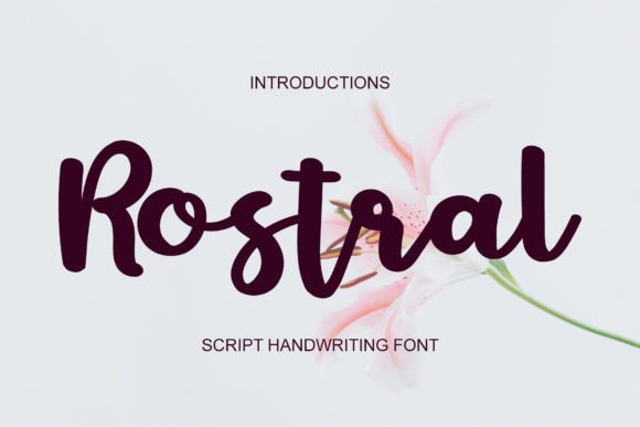 Rostral: A Handwritten Font for Makers