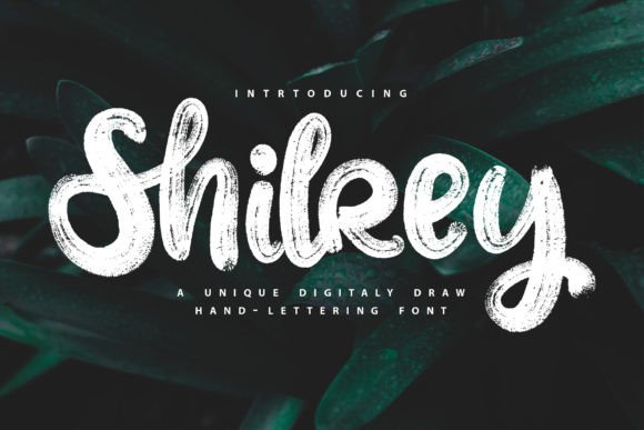 Shilrey: A Modern Handwritten Font for Creative Marketing